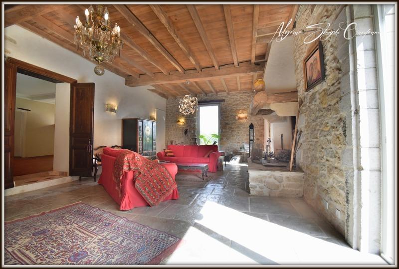 Maison - 355 m² - 10 pièces