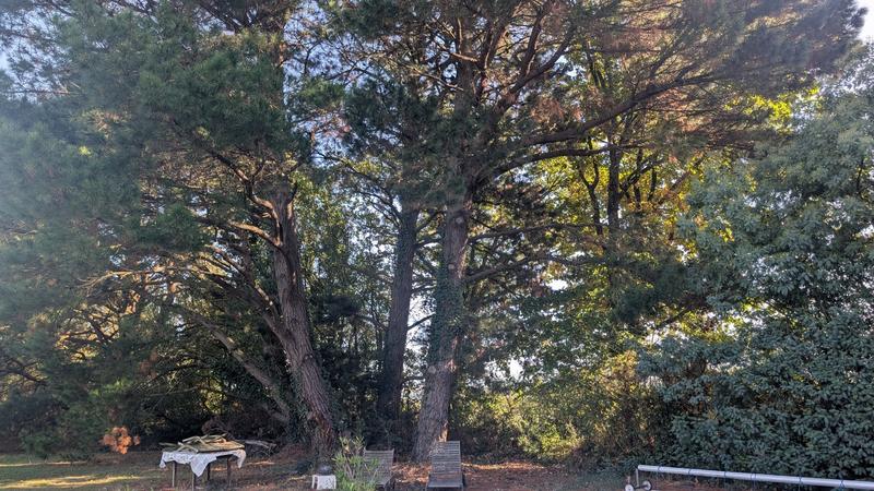 Maison - 158 m² - 7 pièces