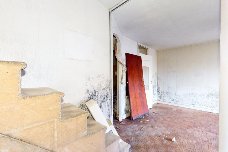 Studio - 30 m² - 1 pièce