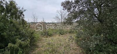 Terrain agricole - 7 256 m²