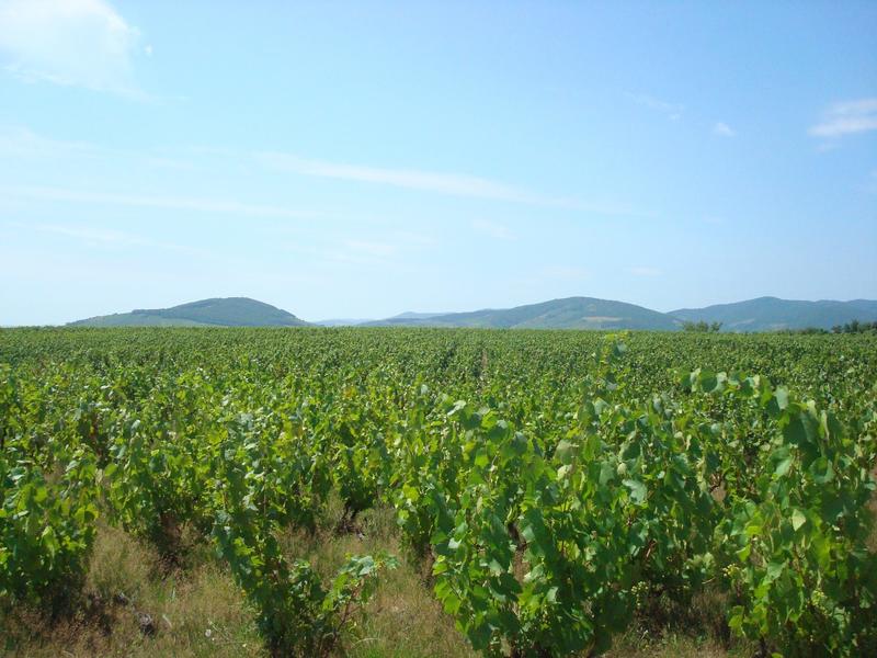 Maison - 151 m² - 5 pièces