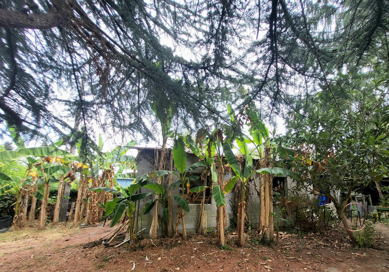 Maison ancienne - 235 m² - 9 pièces