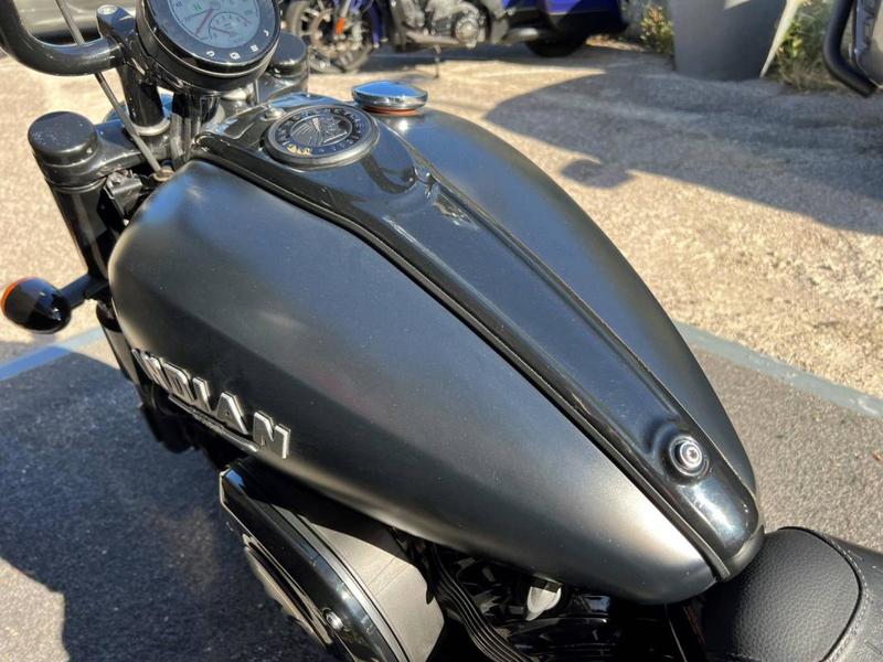 Indian Chief Dark Horse