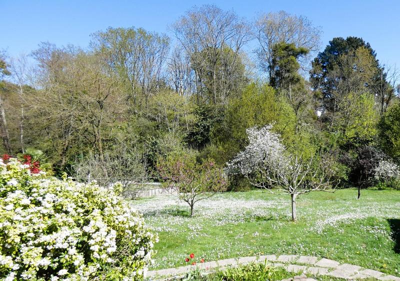 Maison - 66 m² - 3 pièces