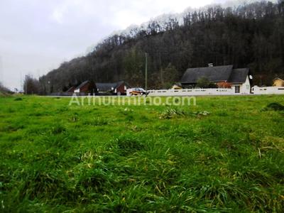 Terrain - 1 160 m²