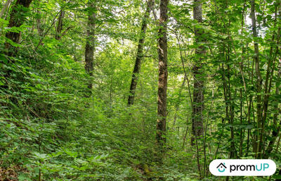 Terrain de loisirs - 5 300 m²