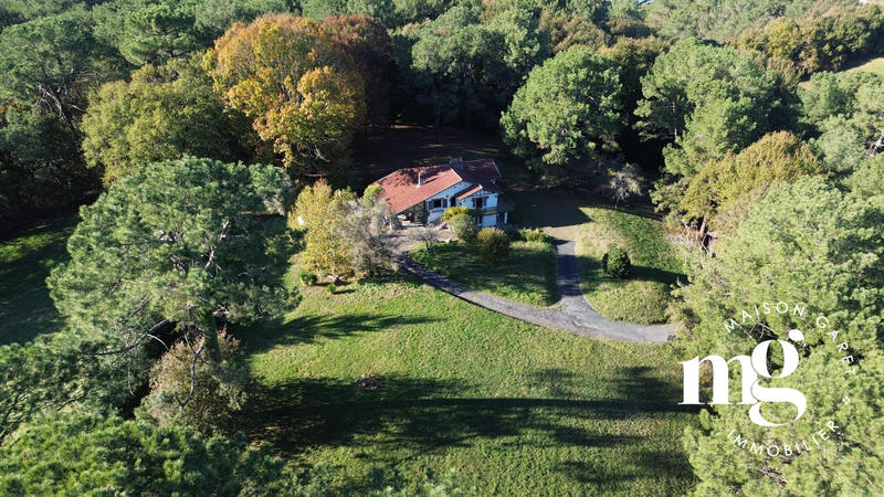 Maison ancienne - 250 m² - 9 pièces