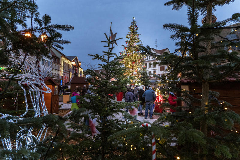Chantons Noël sous le sapin