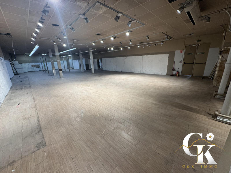 Local commercial - 1 172 m² - 11 pièces