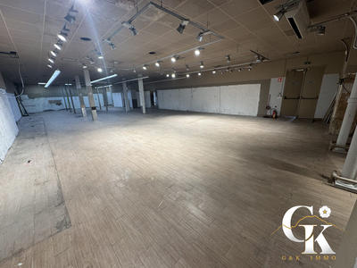Local commercial - 1 172 m² - 11 pièces