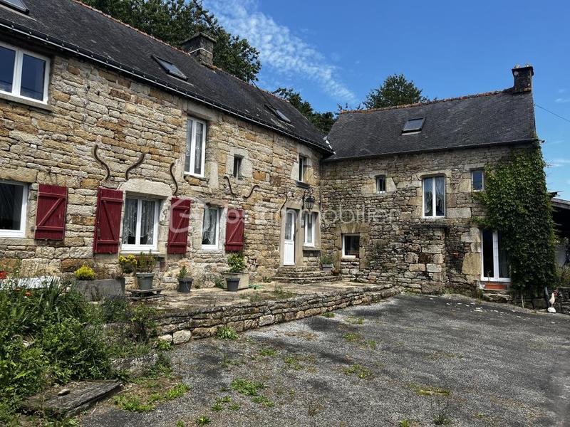 Maison en pierre - 200 m² - 6 pièces