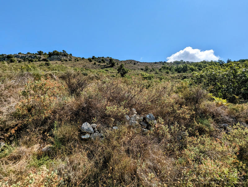 Terrain - 68 490 m²
