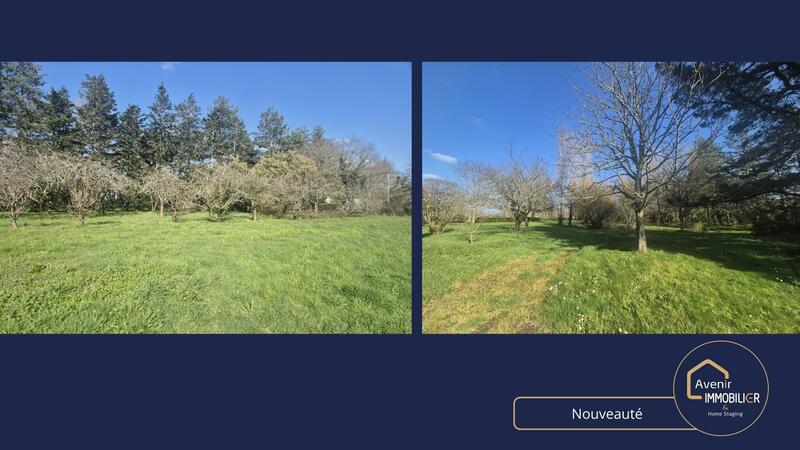 Maison ancienne - 143 m² - 6 pièces