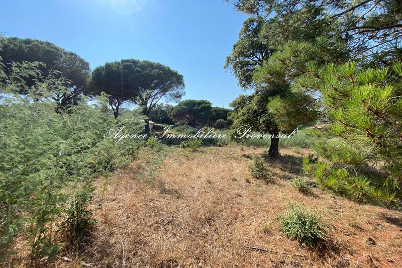 Terrain - 1 270 m²