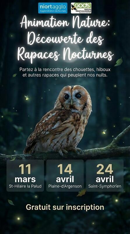 Animation nature "Découverte des rapaces nocturnes" à Saint-Symphorien