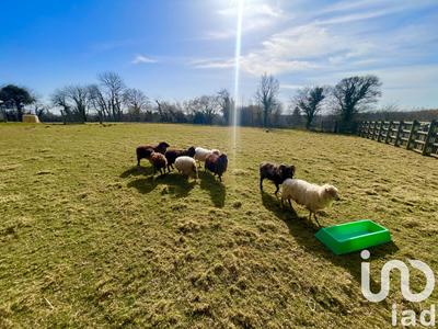 Maison - 200 m² - 7 pièces