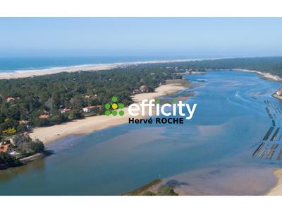 Maison - 300 m² - 6 pièces