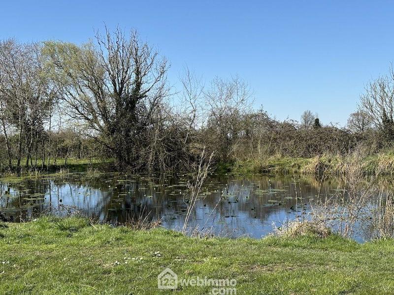 Maison - 265 m² - 8 pièces