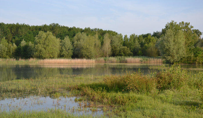 Fête de la Nature - Visite de la Réserve Naturelle Nationale de la Mazière