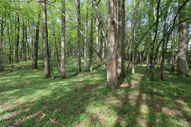 Maison - 190 m² - 6 pièces