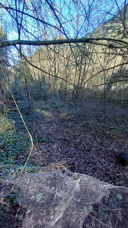 Terrain de loisirs - 31 439 m²