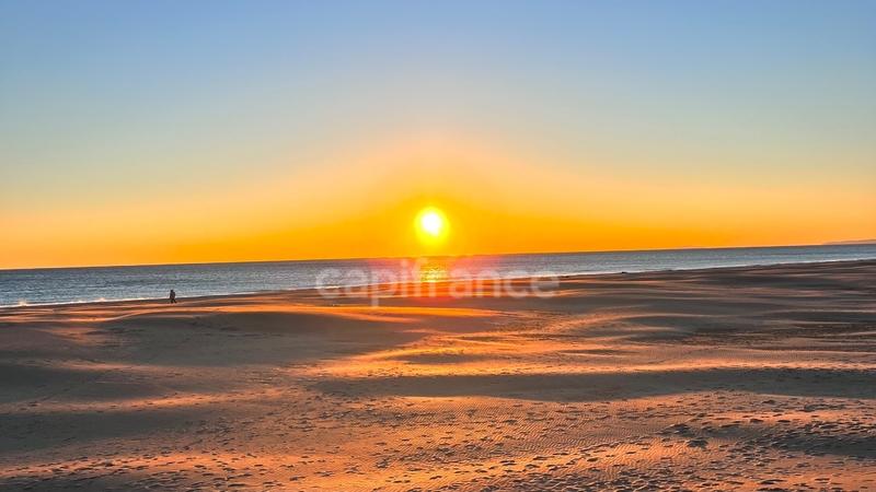 Bureau - 223 m² - 3 pièces