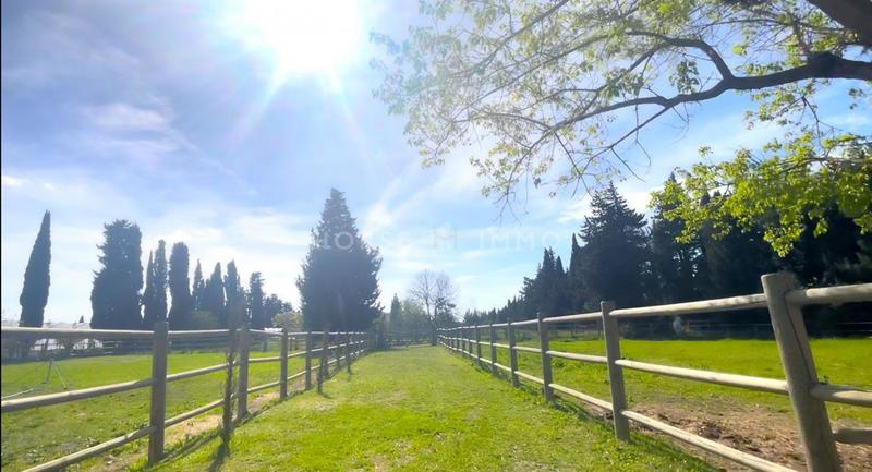 Maison de domaine équestre - 175 m² - 6 pièces