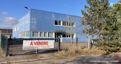 Local d'activités - 600 m²