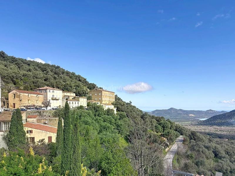 Appartement - 91 m² - 4 pièces