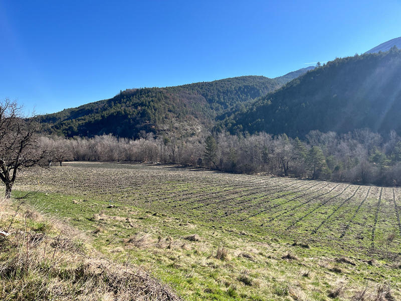 Maison - 138 m² - 6 pièces