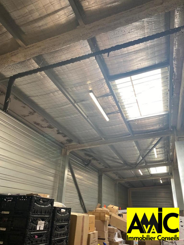 Local commercial - 1 226 m² - 5 pièces