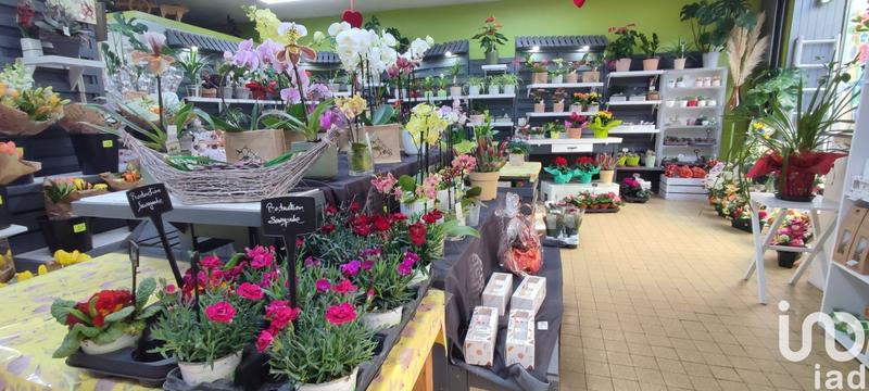 Local commercial - 116 m²