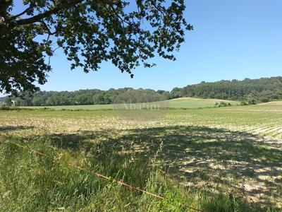 Terrain - 97 000 m²