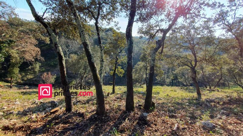 Terrain constructible - 3 000 m²