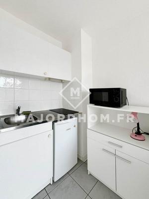Studio - 19 m² - 1 pièce