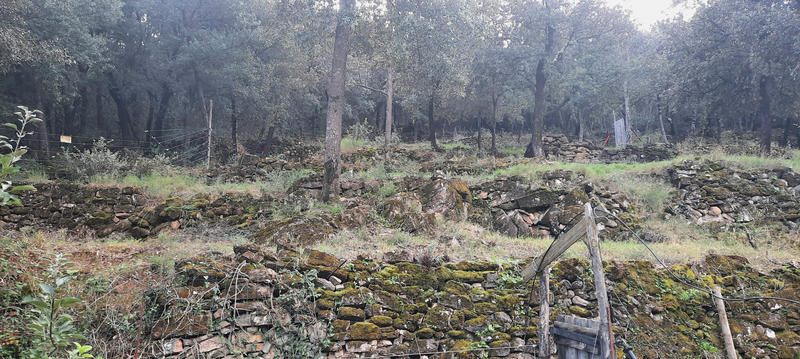 Maison - 114 m² - 4 pièces