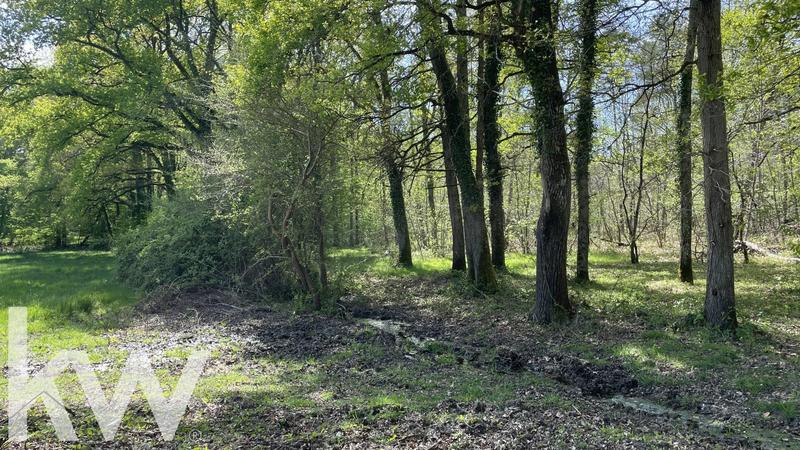 Manoir - 172 m² - 11 pièces