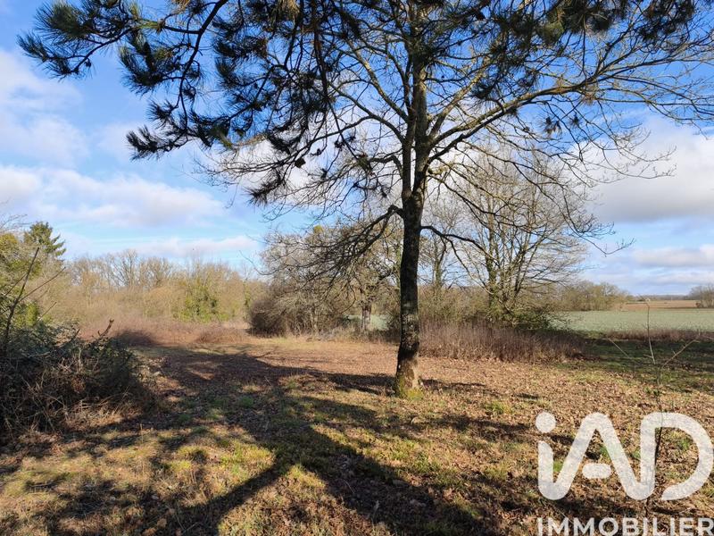 Maison - 174 m² - 7 pièces