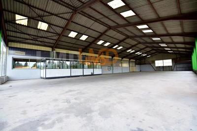 Bureau - 1 185 m² - 5 pièces