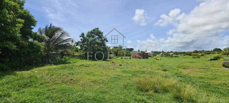 Terrain constructible - 781 m²