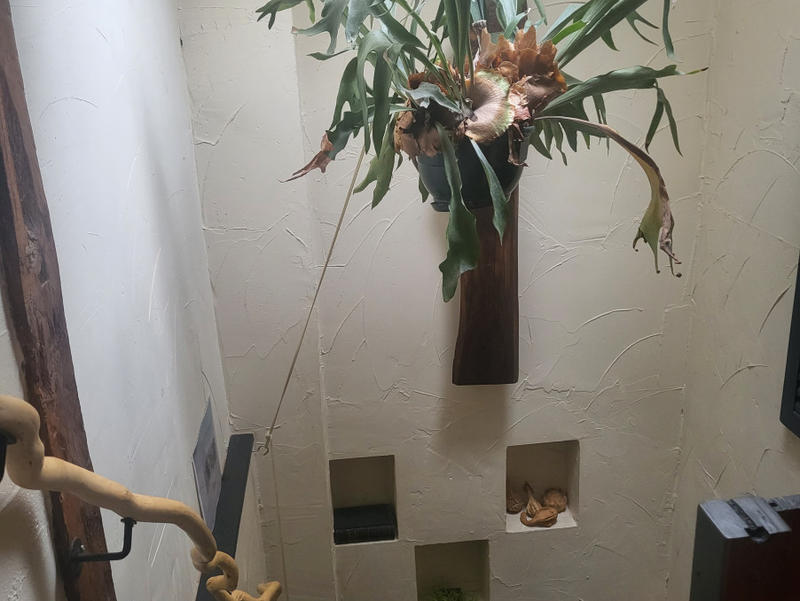 Maison - 138 m² - 5 pièces