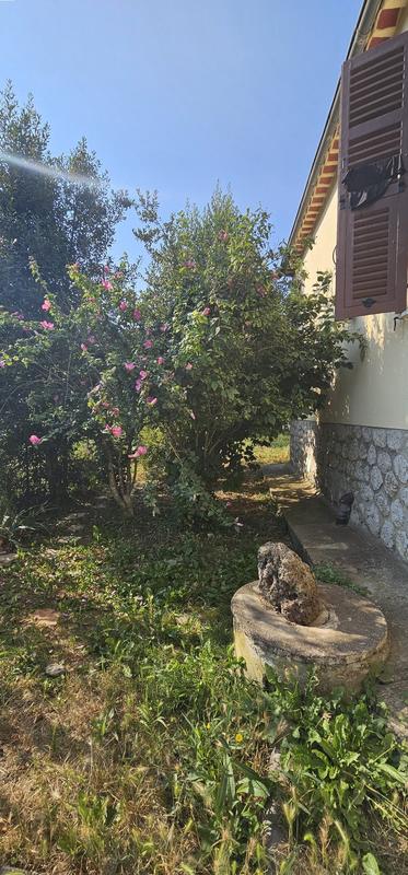 Maison - 560 m² - 3 pièces