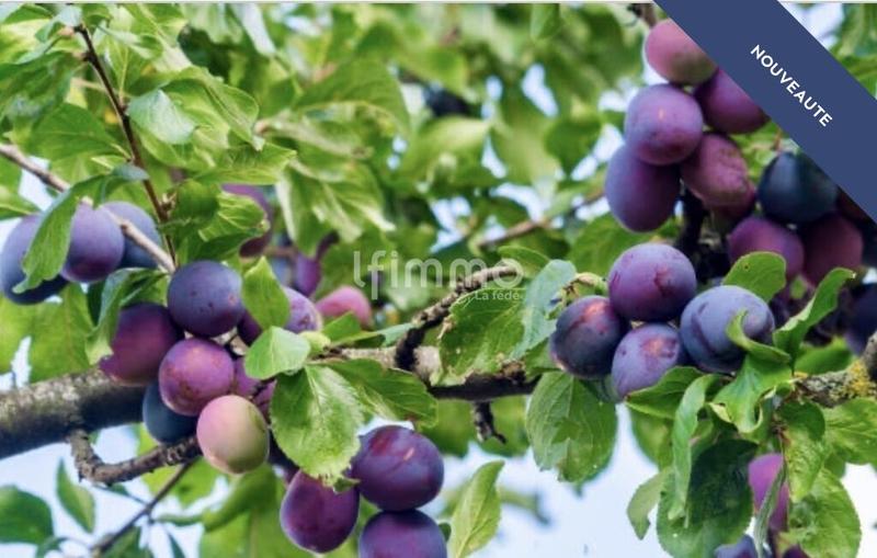 Terrain de loisirs - 900 m²