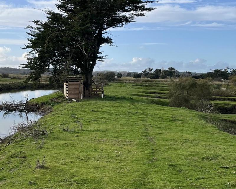 Terrain - 11 140 m²