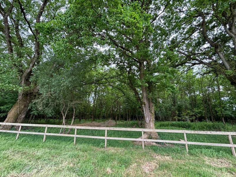 Maison - 156 m² - 4 pièces