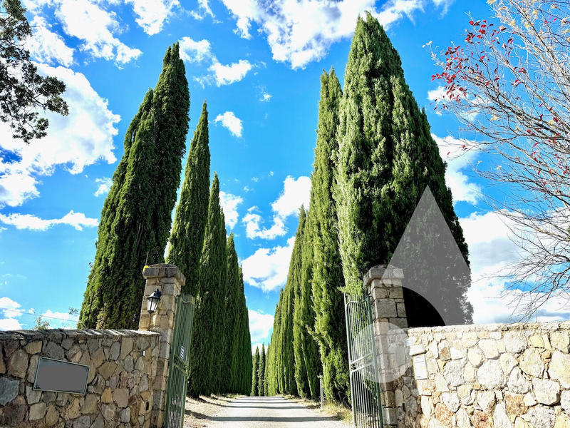 Maison - 640 m² - 18 pièces