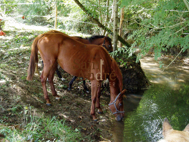 Maison - 300 m² - 8 pièces