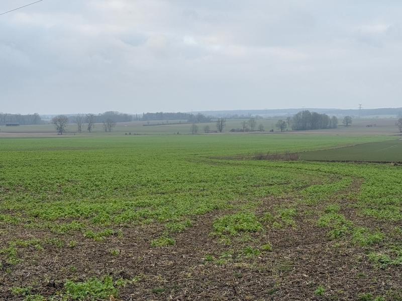 Terrain constructible - 926 m²