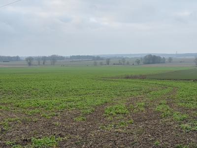 Terrain constructible - 926 m²