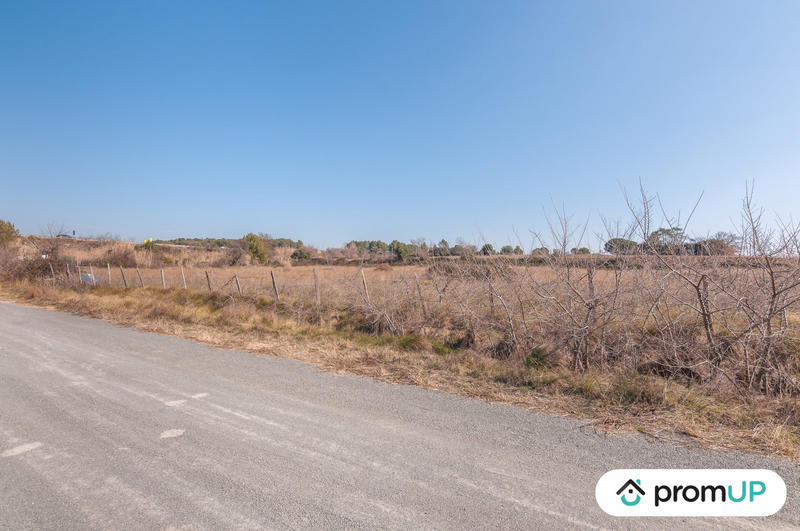 Terrain agricole - 5 000 m²